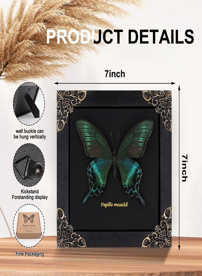 Agaoece Butterfly Framed Decoration Handmade Taxidermy Butterfly Shadow Box Collection Framed Butterfly for Oddities and Curiosities Gifts for Victorian Dark Academia Goth Wall Decor - Image 5